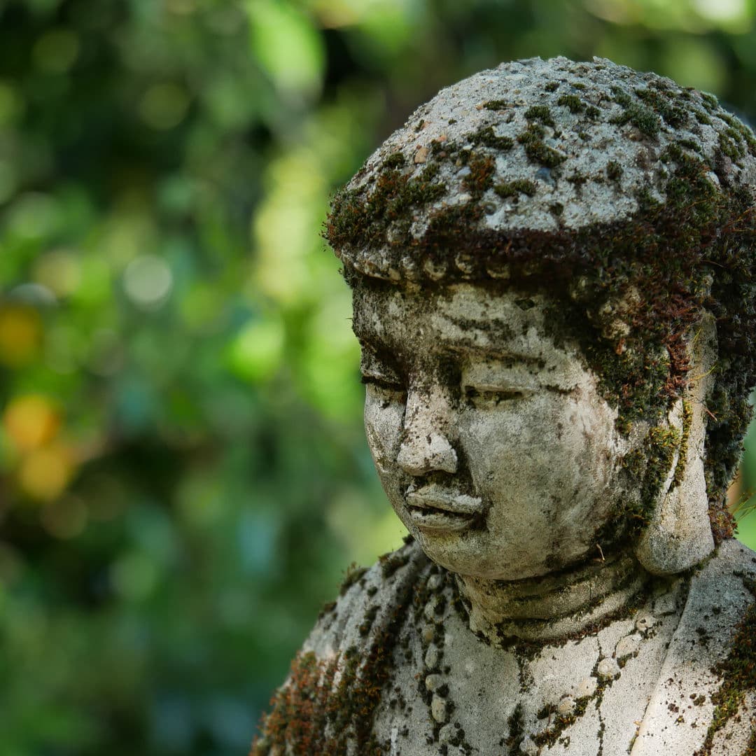 Mossy Buddha